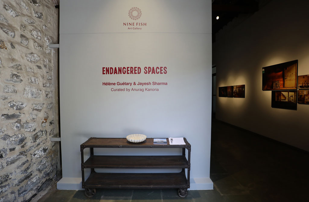 engangered-spaces-installation-shot-7